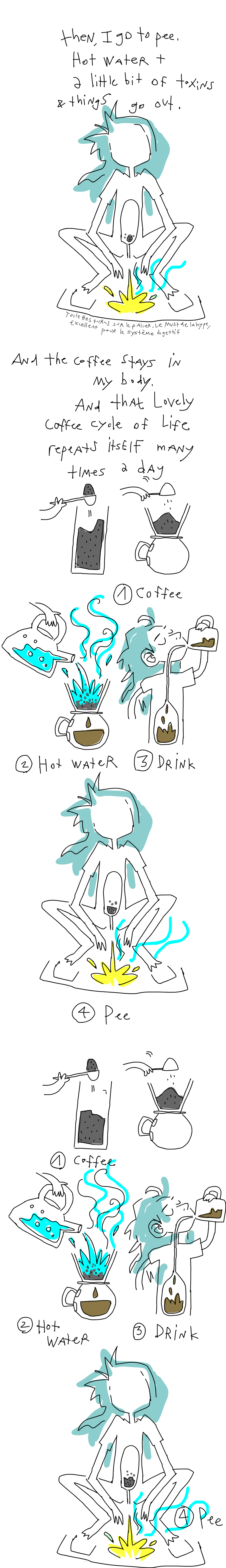 Hot water plus a little bit of toxin thingies get out my body. And the coffee stays. And that lovely cycle of coffee drinks repeats itself many times during the day. 