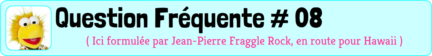 Question fréquente numéro 07, posée par mon Fragile Rock en peluche préféré ( celui qui est jaune avec une chemise hawaïenne)